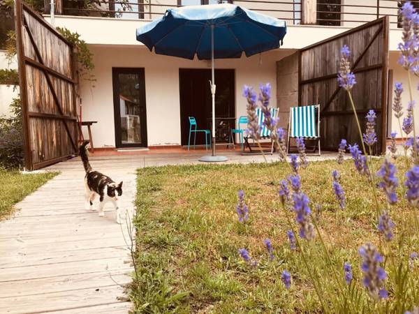 Quinta Rio de Oliveira