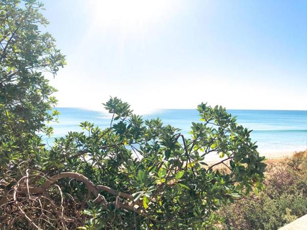 T1 Miramar by Sunny Deluxe