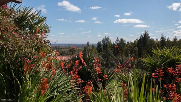 Monte Horizonte - The Luxury of Silence - Adults Only