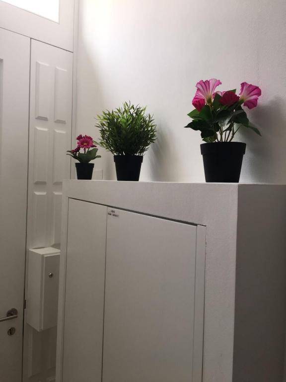 BRA.com Apartments Oporto Campanhã