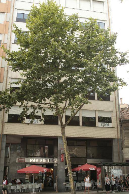 Spot Apartments Trindade