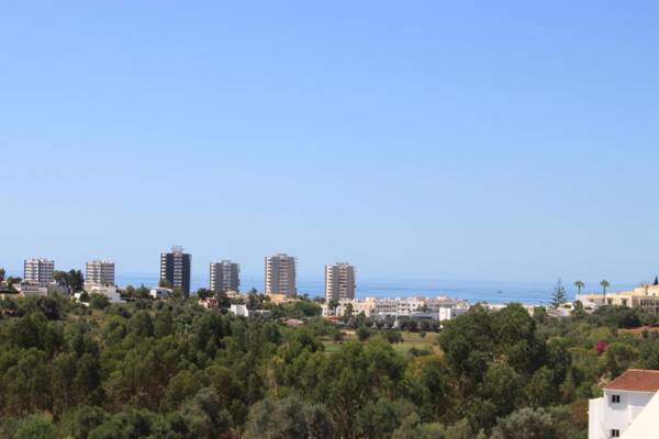 Pelican Alvor