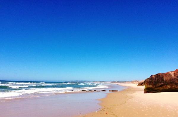 FreeSurfCamp & Hostel