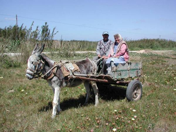 Da Silva Surfcamp 7 Bettzimmer mit Frühstück