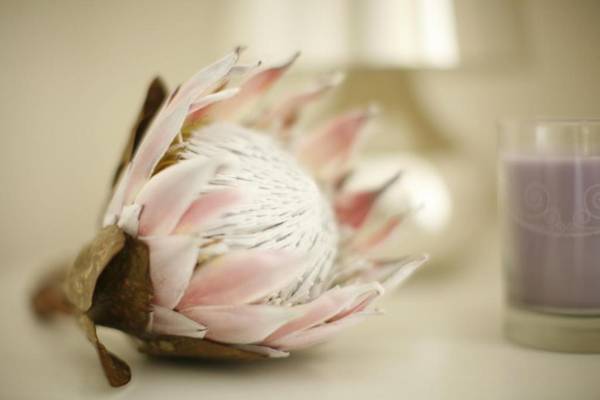 Casa das Janelas com Vista