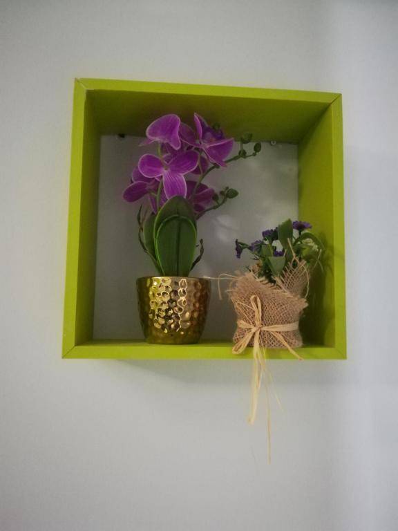 Shangri-La Hostel Anjos