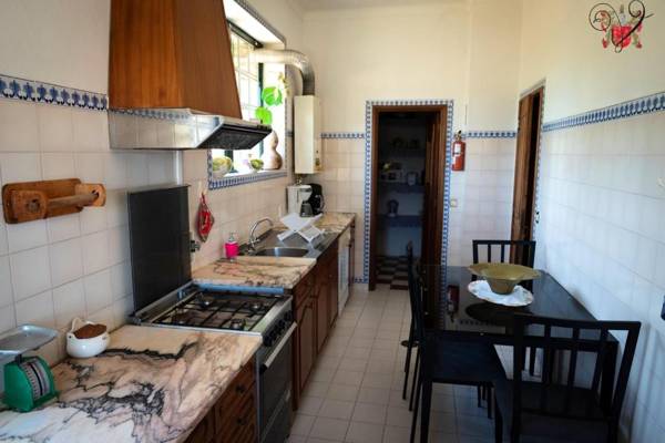 3 bedrooms villa with city view private pool and enclosed garden at Lamego 3 km away from the beach