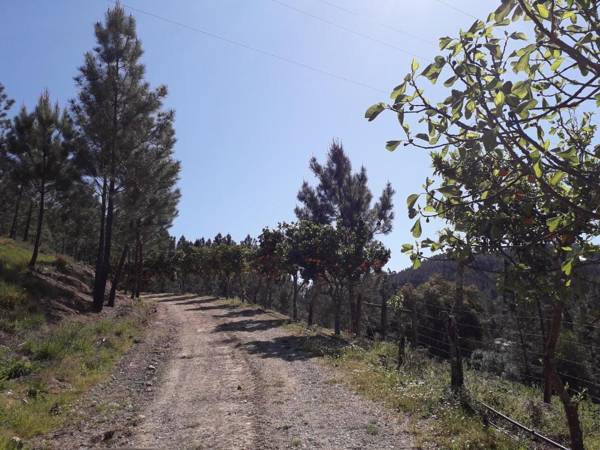 Nossa Senhora do Pranto