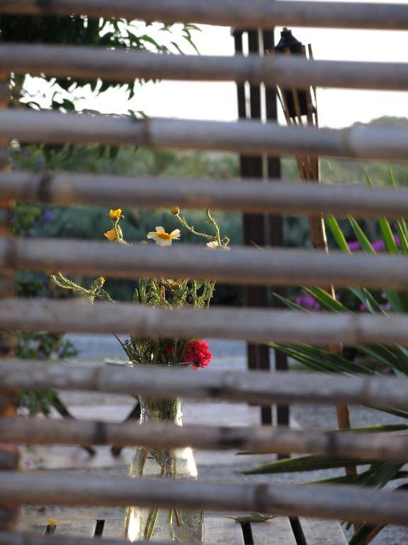 Quinta da Fornalha - Santuario Agroecologico