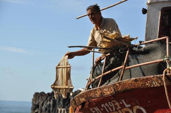 Apartment Palma Madeira wandern und tauchen