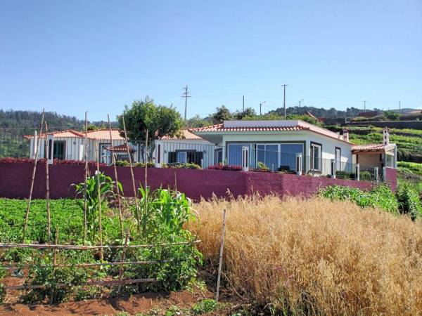 Theo’s House by OurMadeira