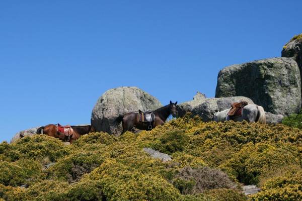 Casa do Caminho do Monte