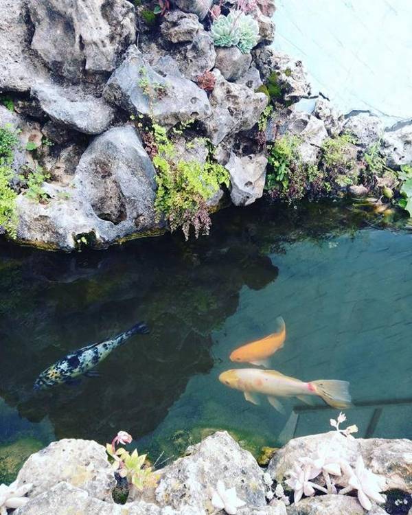 Guesthouse A Lareira