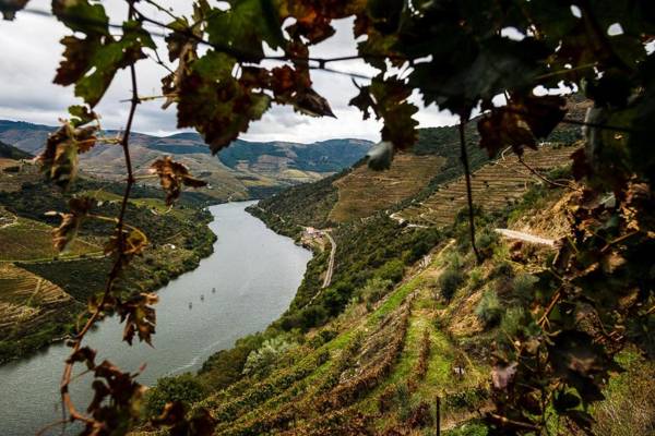 Quinta de Merouço - Casa do Rio