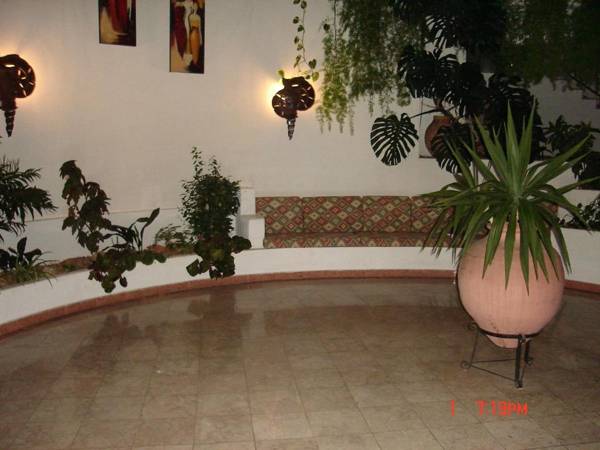 Jeannie's Oura Estrela