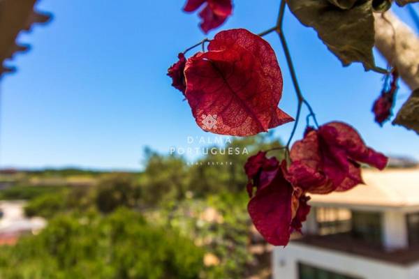 D'Alma Falésia Beach Apartment
