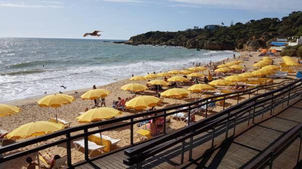 T2 Forte da Oura by Sunny Deluxe