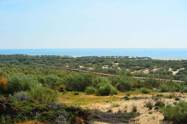 Praia da Lota Resort – Beachfront Apartments