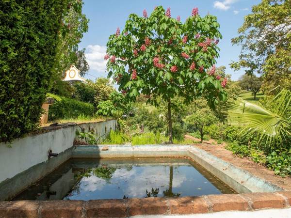 Idyllic Farmhouse in Montemor-o-Novo with Swimming Pool
