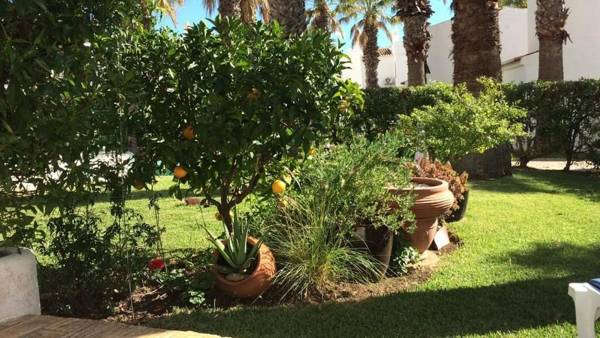 Monte Carvoeiro Studio