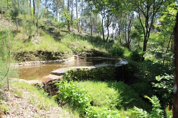Tapada De Sao Domingos