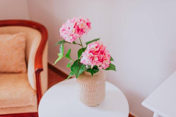 Villa Amore Accommodation