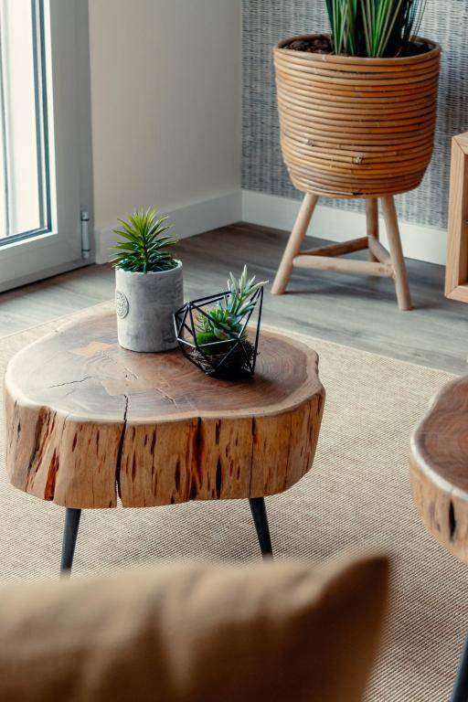 Shellter Apartments by the sea