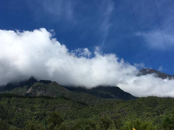 Chambres d'hôtes l'Orchidée Rose