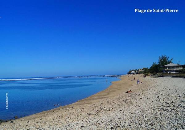 Les Hibiscus de la Rivière