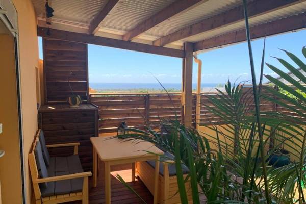 DOMINJOD T1 avec terrasse et jardinet