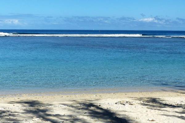 Appartement REVE ENSABLE classé 3 étoiles vue mer et montagne mail de Rodrigues Ermitage-Les-Bains 6 personnes