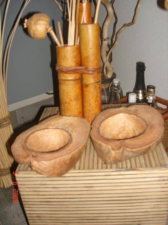 Pensiunea Bamboo - Villa