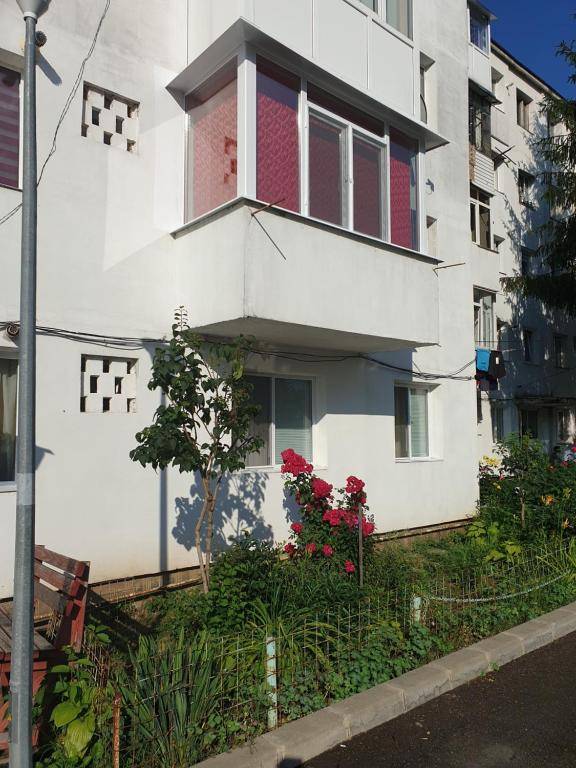 Red House Apartament