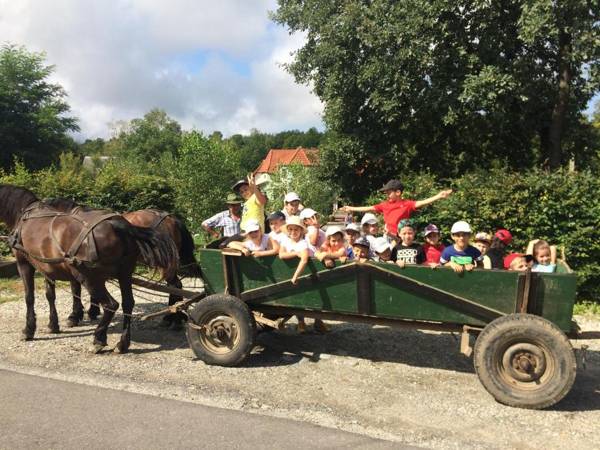 Pensiunea Poiana Avrigului