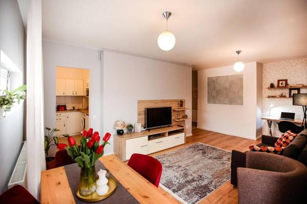 City Apartment Dorobantilor
