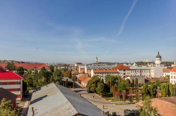 City Apartment Dorobantilor