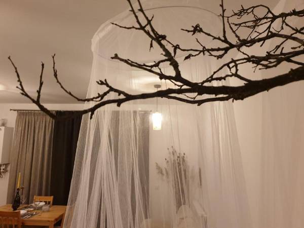 Cluj City Iris Appartment