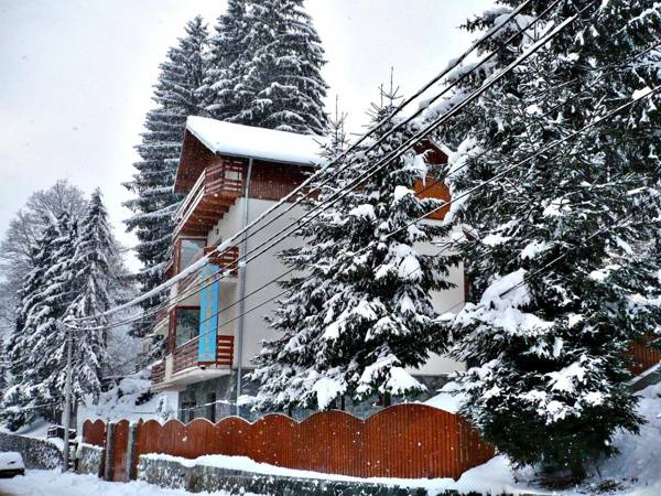 Pension Casa Soarelui