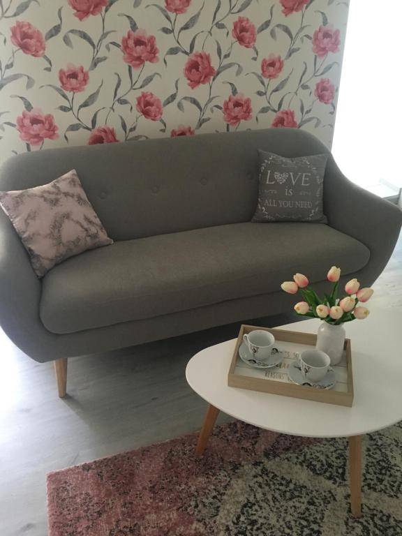 Bruk Central Apartament