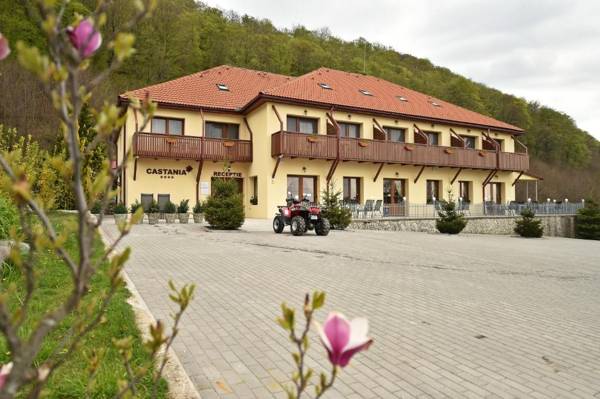 Pensiunea Castania - Pensiune cu piscina la munte