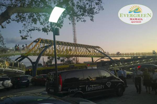 Evergreen Vlas Mamaia Sud