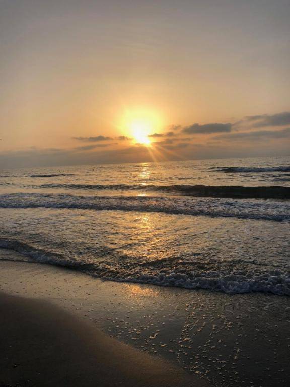 Vela Luxury Sea View Apartments