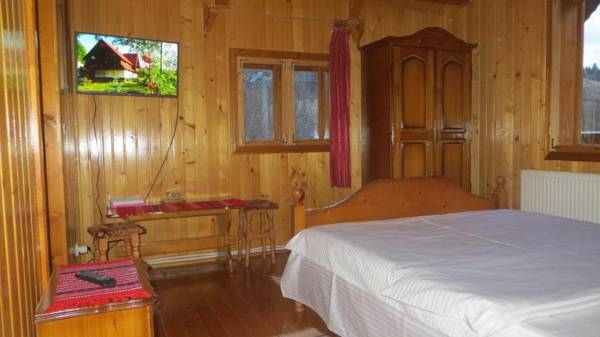 Pensiunea Poiana de Vis