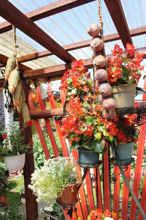 Pensiunea Alecsandra