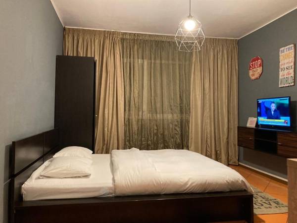 Lions Studio Dristor