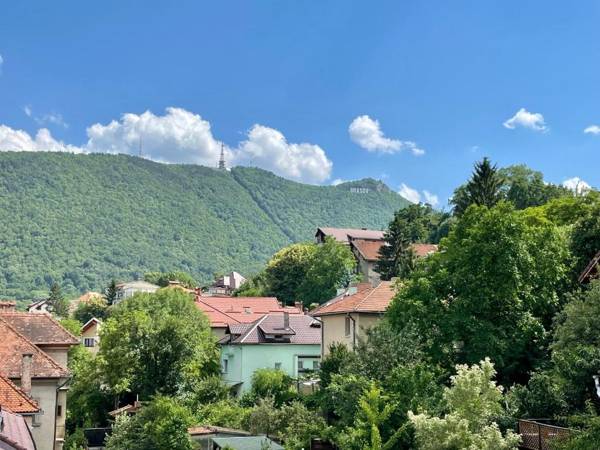 Central Premium Apartment