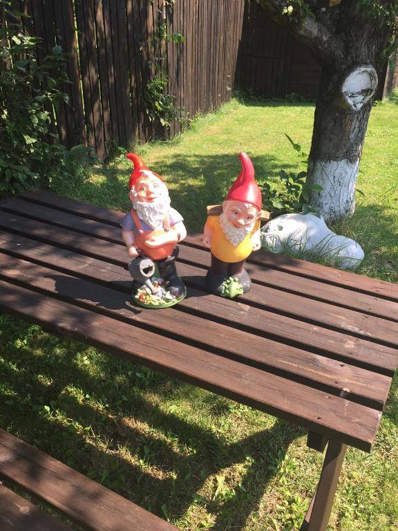 Vila Milenium Residence Bran