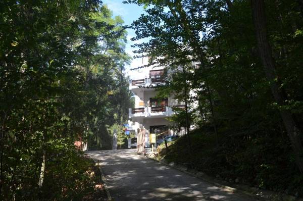 Former Ceausescu's Vila Crizantema