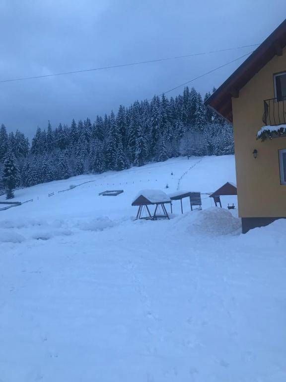 Casa Natalia Raisa Arieșeni