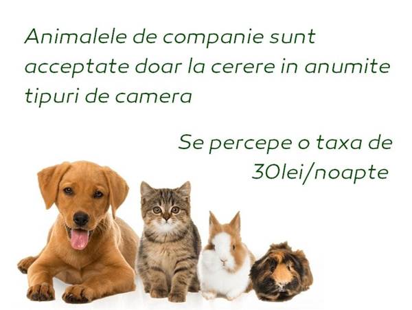 Vila Privilege Felix